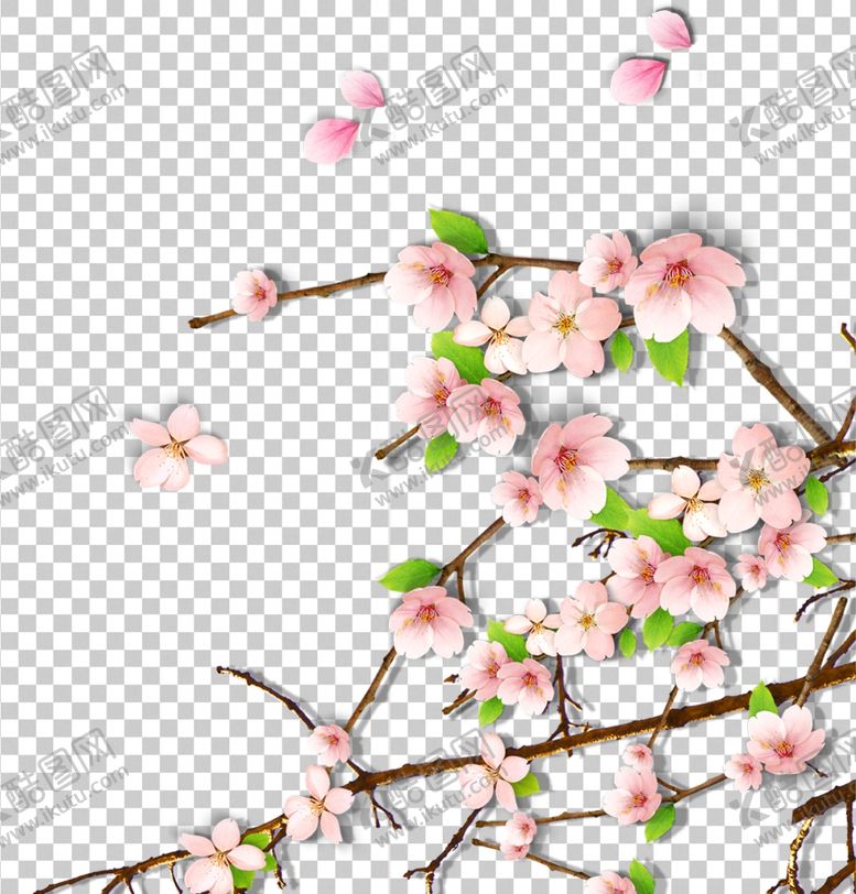 编号：53059509262120101794【酷图网】源文件下载-梅花