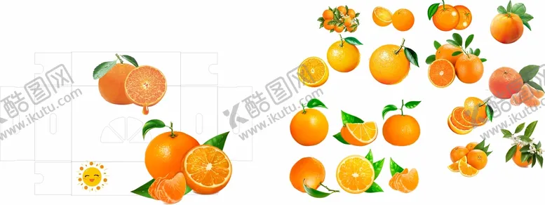 编号：49381709200557149340【酷图网】源文件下载-包装沃柑桔子元素