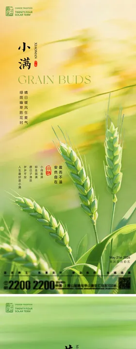 小满芒种节气海报