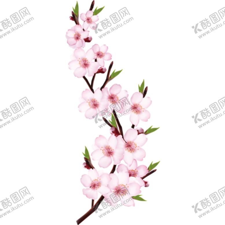 编号：81708304190642052532【酷图网】源文件下载-桃花