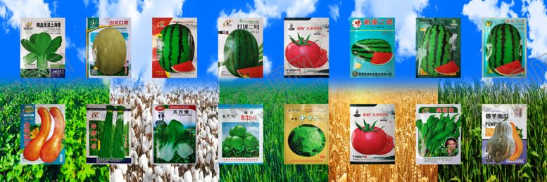 编号：10724001042032514029【酷图网】源文件下载-多彩植物图片素材展示