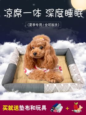 燕窝主图食品主图绿色