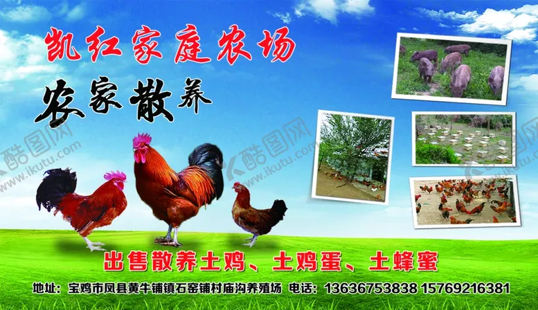 编号：67818303160734044707【酷图网】源文件下载-农家散养