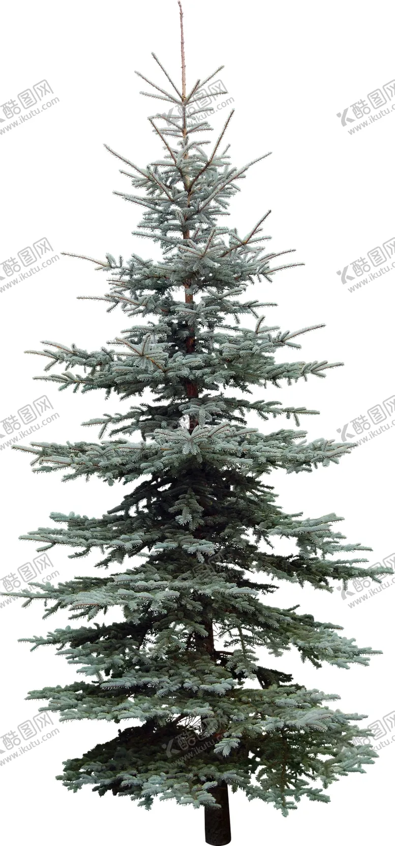 编号：81686109110435506723【酷图网】源文件下载-免扣树木素材