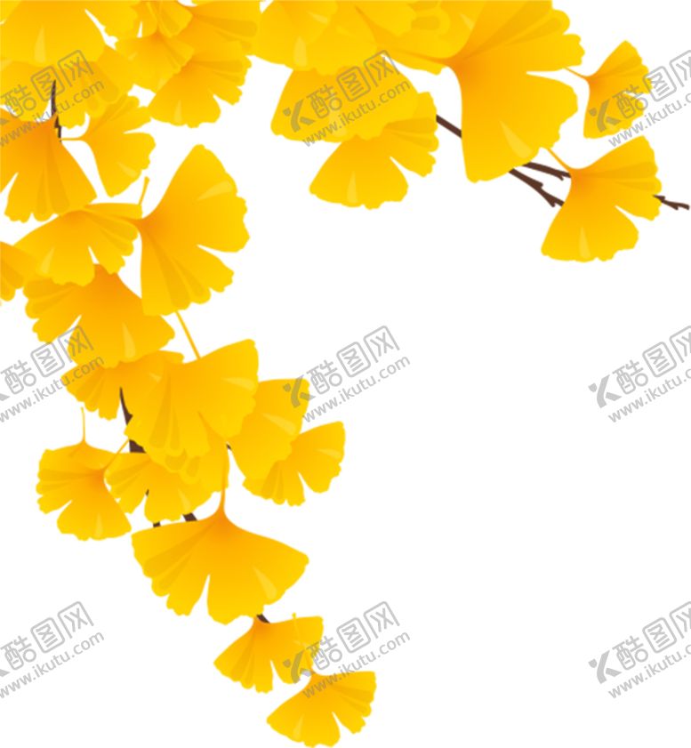 编号：95284606190759273323【酷图网】源文件下载-树叶