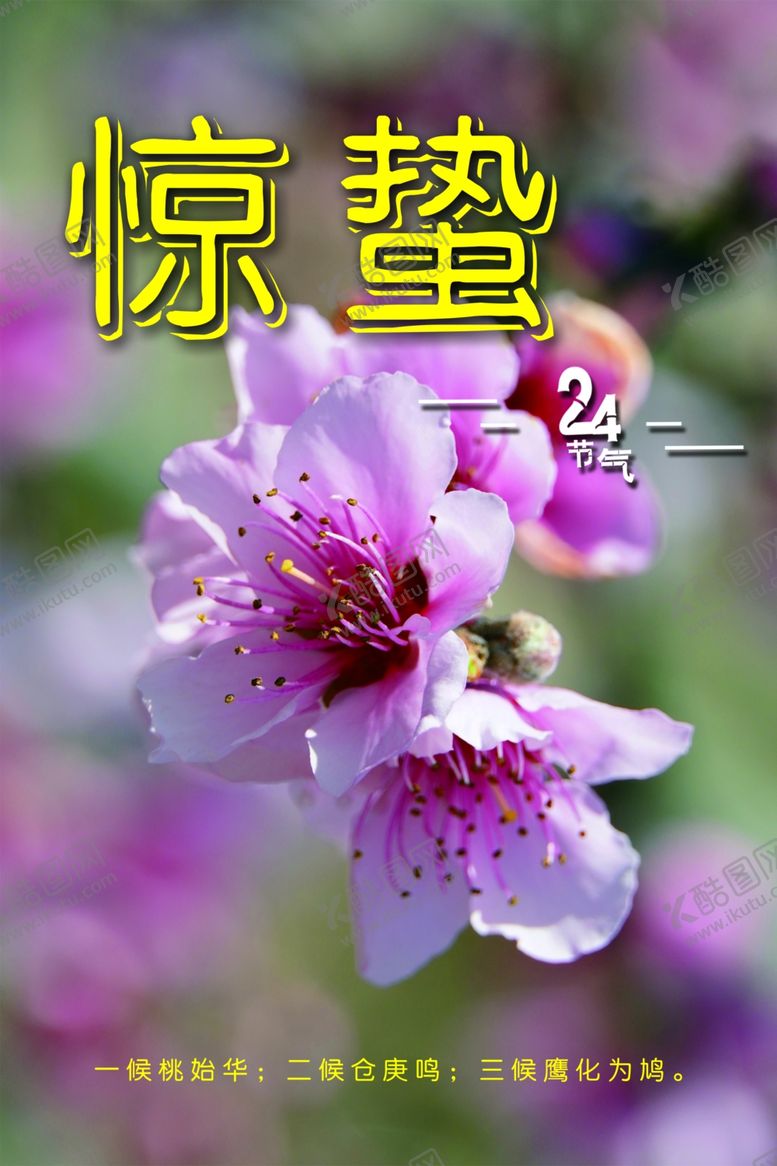 编号：88902204221634111905【酷图网】源文件下载-惊蜇