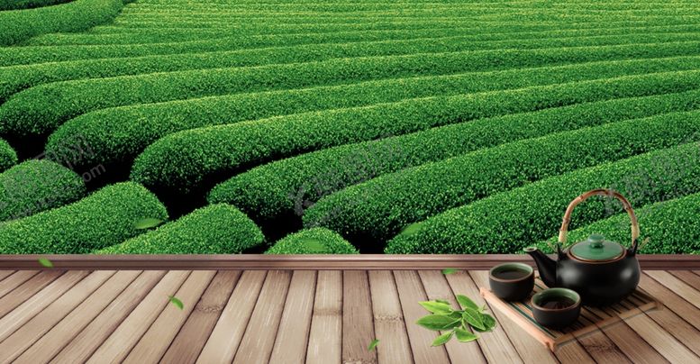 编号：50020910020619269590【酷图网】源文件下载-茶园茶壶绿色清新古风素材背景