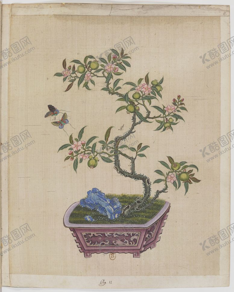 编号：38193806302134087237【酷图网】源文件下载-盆景花鸟