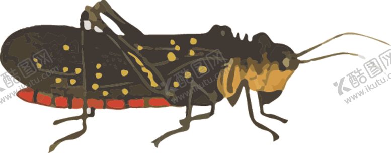 编号：35274610290411052944【酷图网】源文件下载-蚂蚱昆虫插画