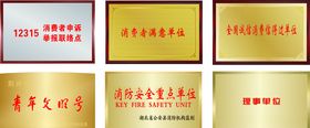 西安万通汽车学校奖牌效果图
