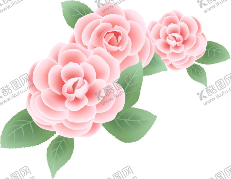 编号：31699609260313219841【酷图网】源文件下载-花免抠图PNG