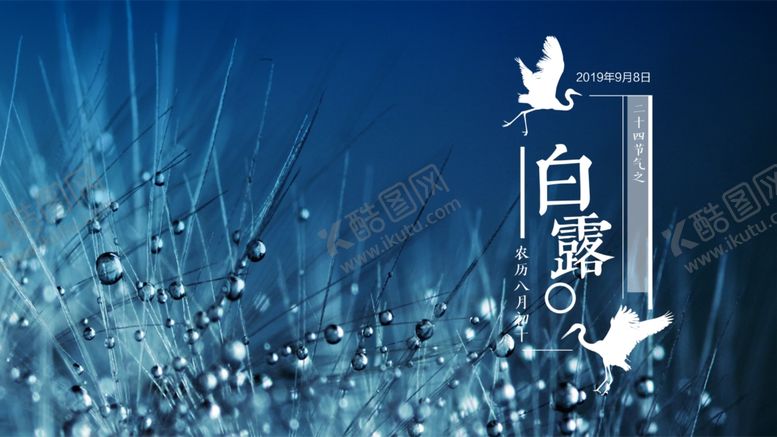 编号：32317212062040266217【酷图网】源文件下载-白露