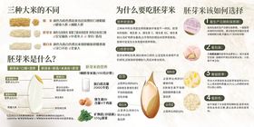 胚芽米介绍海报
