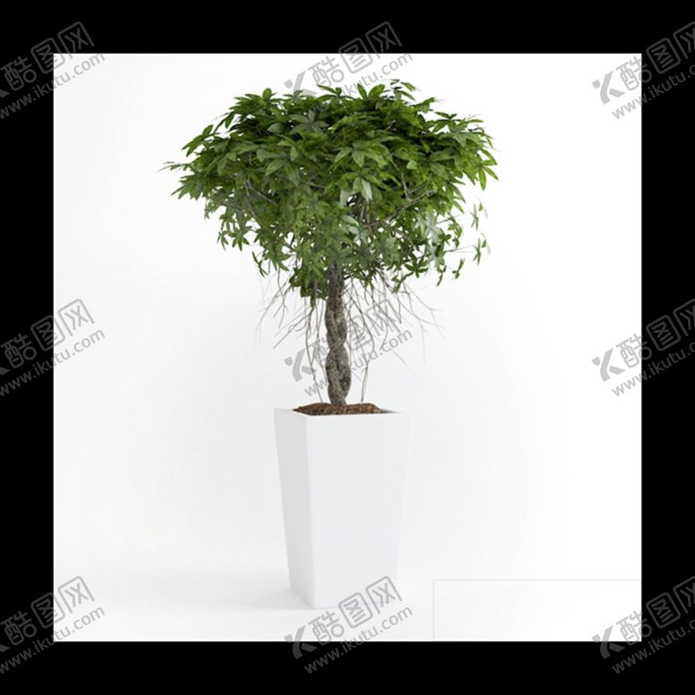 编号：31034911210929318835【酷图网】源文件下载-植物模型