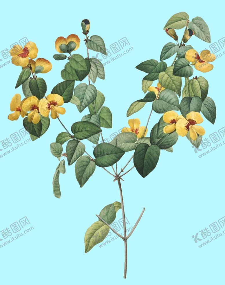编号：42658006260828035642【酷图网】源文件下载-手绘花