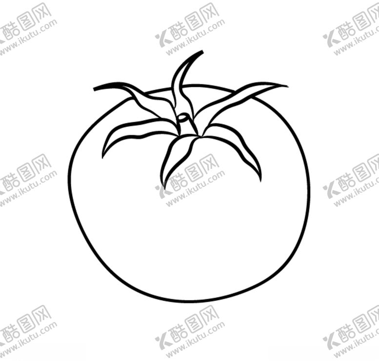 编号：11302909152210199475【酷图网】源文件下载-西红柿