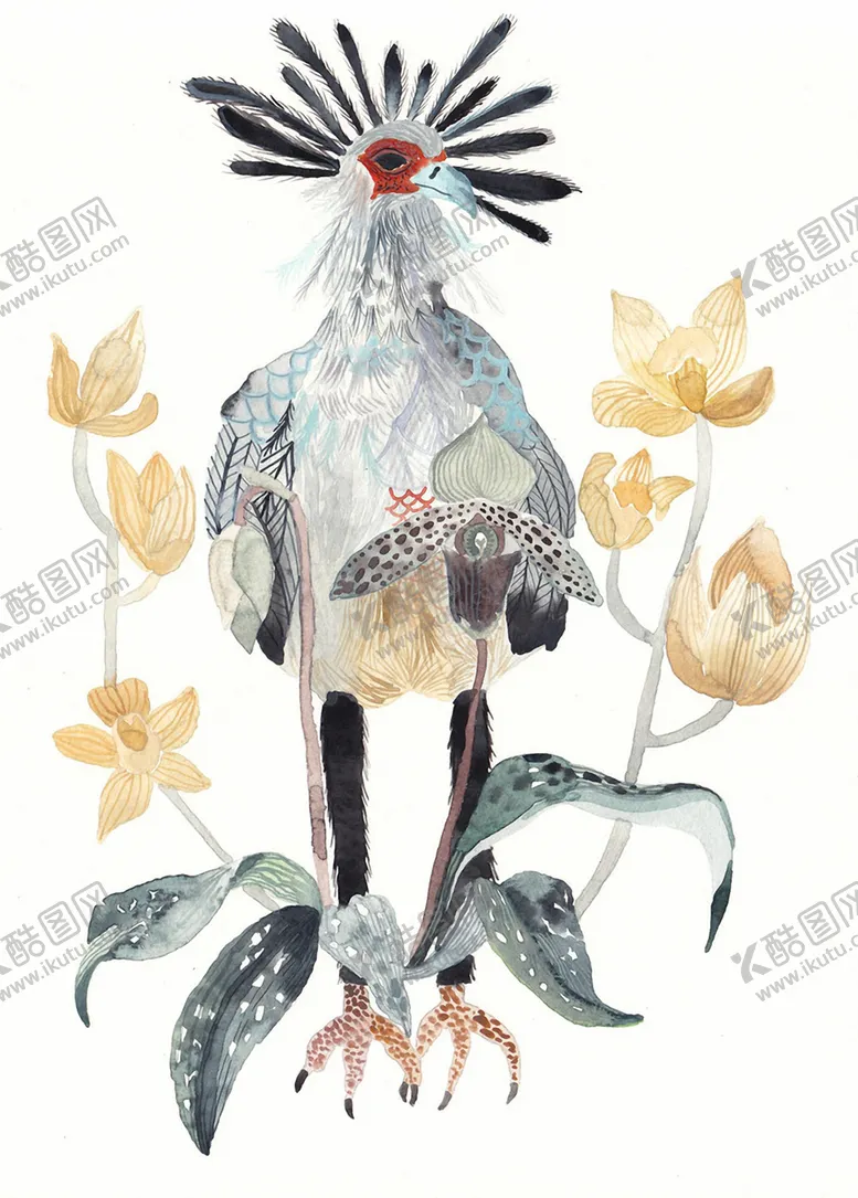 编号：17551706291304376678【酷图网】源文件下载-北欧风格淡色鸟禽水彩画