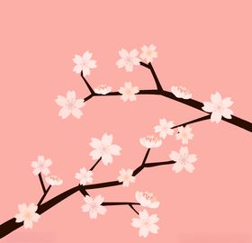 樱花