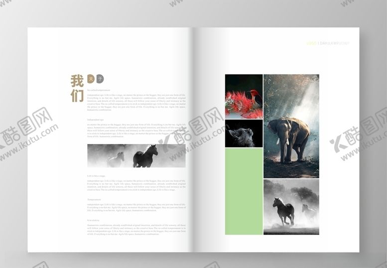 编号：95687706262052233749【酷图网】源文件下载-简洁画册简介