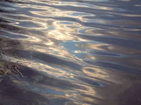 水纹