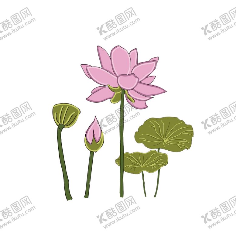 编号：57332706241541246961【酷图网】源文件下载-荷花