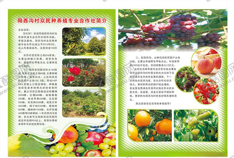 编号：70146307130056419527【酷图网】源文件下载-合作社宣传单