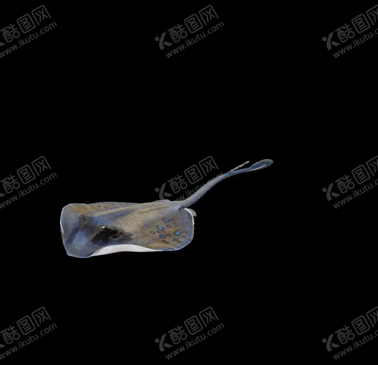 编号：50684206291222524272【酷图网】源文件下载-海洋生物