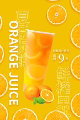 夏日冷饮激情畅水果绿色纯天然冰镇