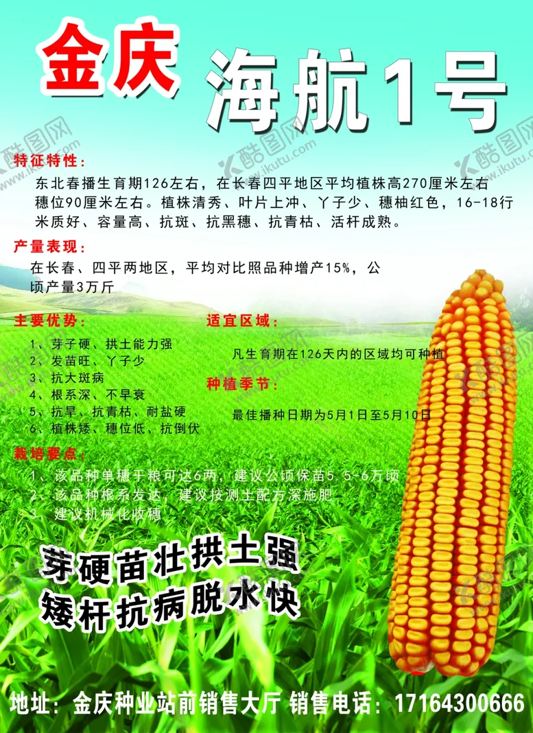 编号：41710606232140066412【酷图网】源文件下载-玉米种子宣传