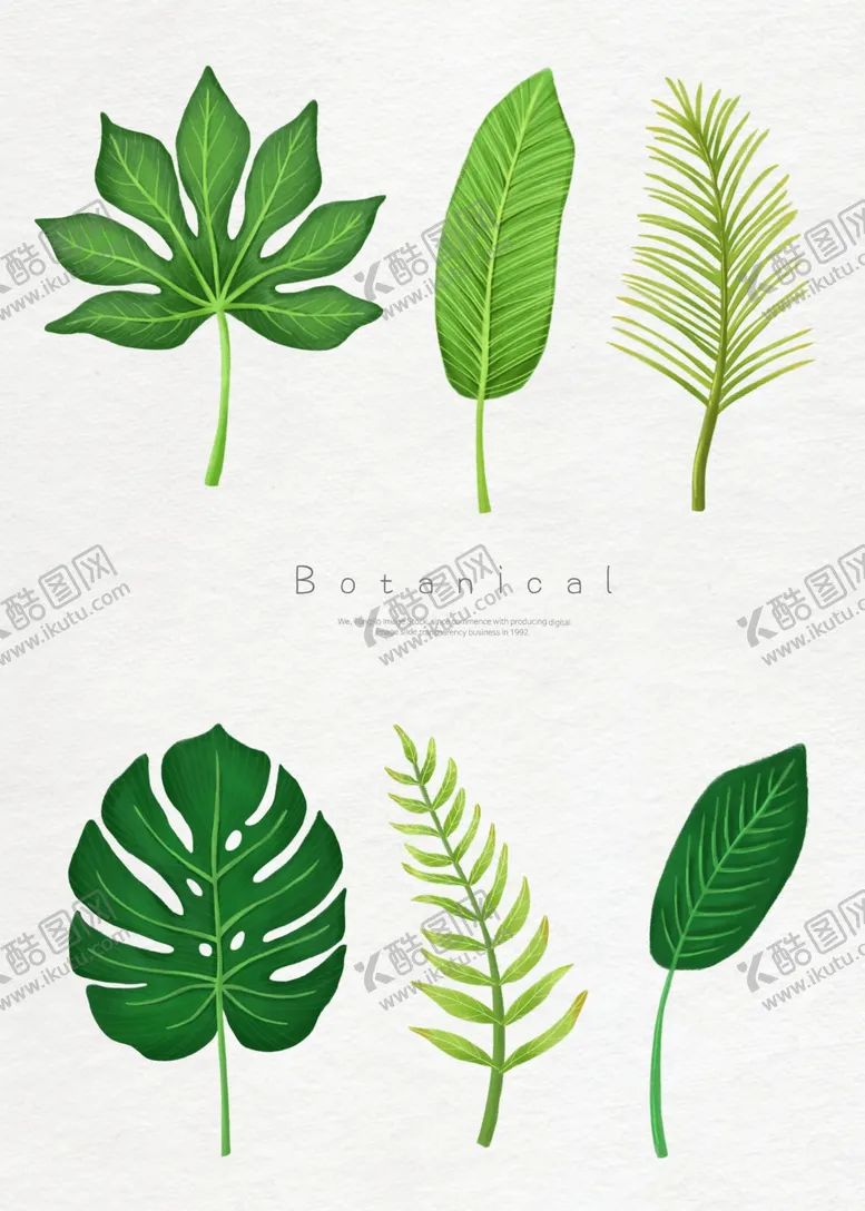 编号：83822006280626441374【酷图网】源文件下载-手绘绿色植物插画线稿图片
