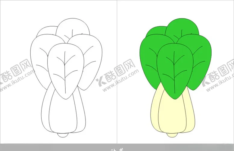 编号：91809005070333278883【酷图网】源文件下载-油菜