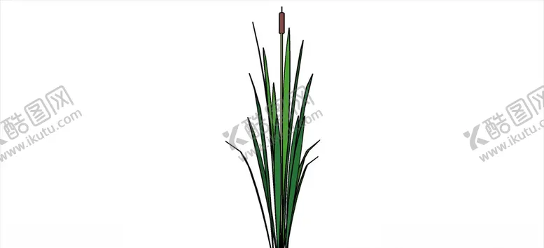 编号：29320309221313124797【酷图网】源文件下载-草本植物模型