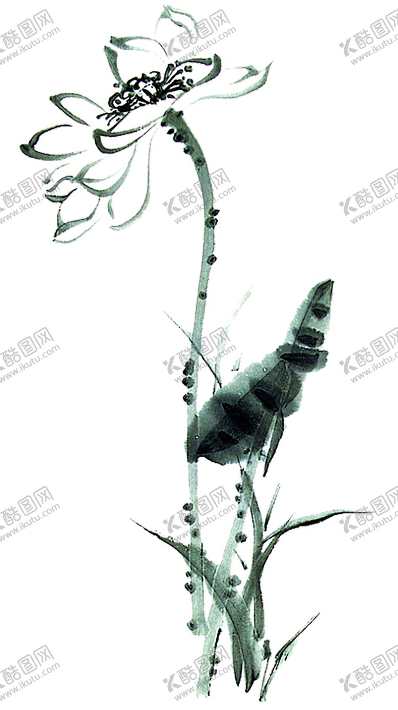 编号：63590405060336292669【酷图网】源文件下载-水墨荷花粉色荷花荷花意境