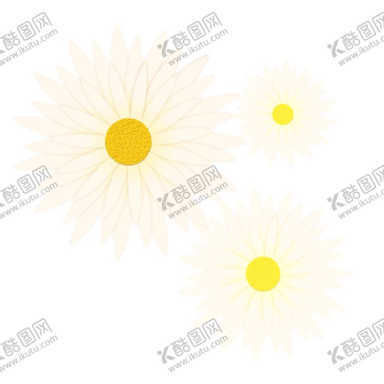 编号：29288710061630464326【酷图网】源文件下载-菊花