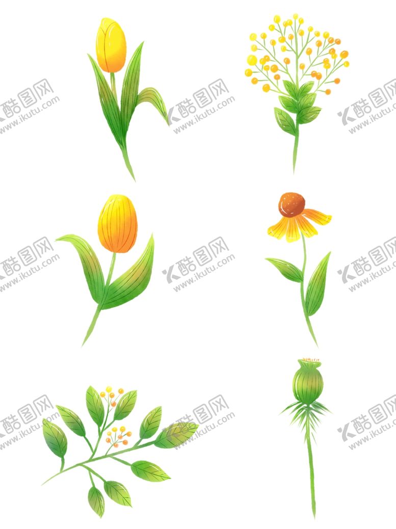 编号：39956509290757447237【酷图网】源文件下载-卡通郁金香插画