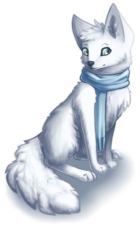 北极狐