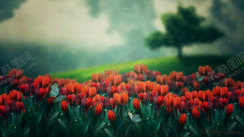 编号：74092209251219535032【酷图网】源文件下载-红色花朵植物草地背景