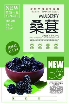 绿色简洁大气桑葚水果海报