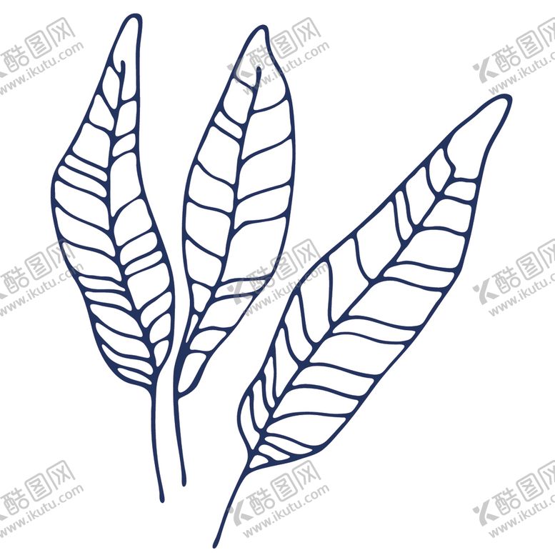 编号：52645605130905414692【酷图网】源文件下载-手绘海洋生物