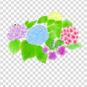 花卉紫色朵矢量朵素材