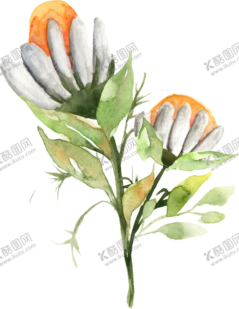 编号：35635506270329443092【酷图网】源文件下载-欧式彩绘植物