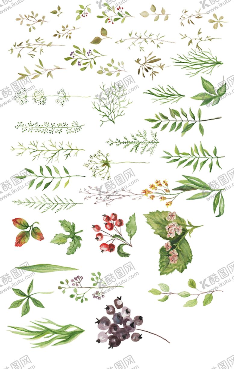 编号：72064409180909488457【酷图网】源文件下载-绿色背景