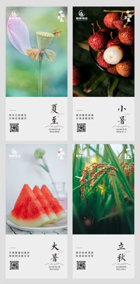 二十四节气系列大暑夏至立秋海报