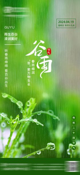 谷雨节气海报