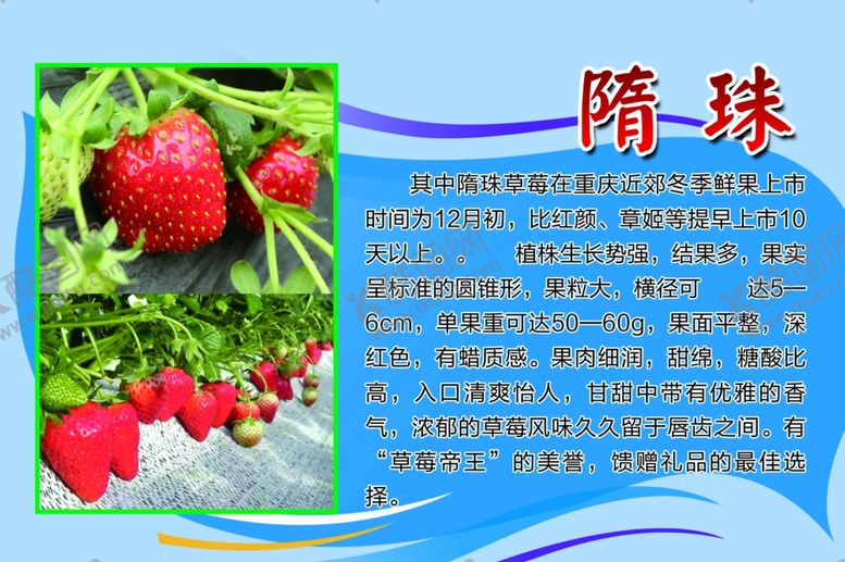 编号：23423309122011378119【酷图网】源文件下载-草莓