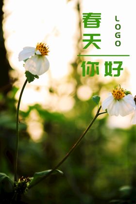 3月你好 春天海报 春暖花开 