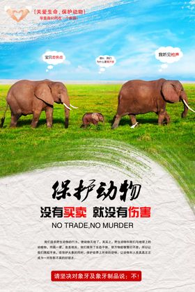 保护野生动物禁止捕食禁吃禁止滥捕乱杀