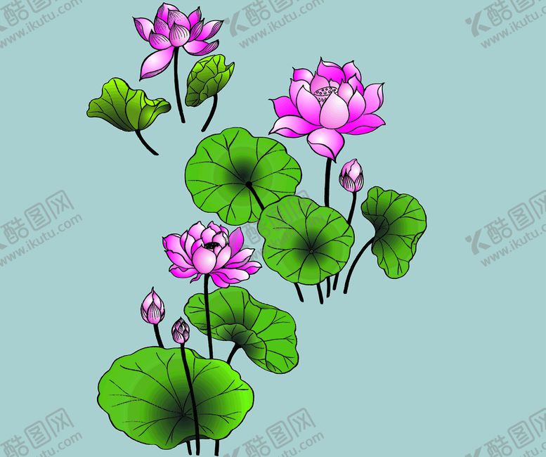 编号：47317111071146131432【酷图网】源文件下载-荷花