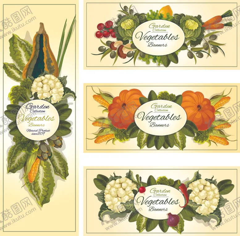 编号：87669709140521329296【酷图网】源文件下载-蔬菜图片