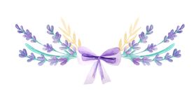 花边花纹